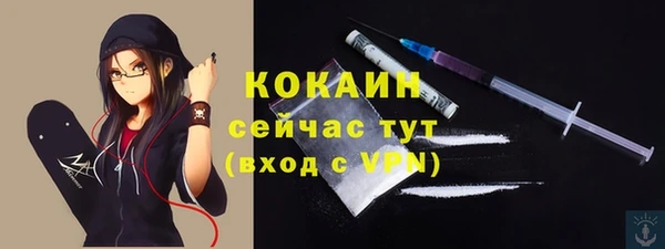 бошки Краснослободск