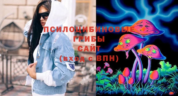 мдпв Кулебаки