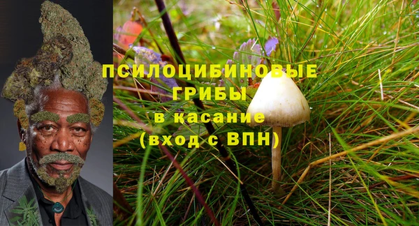 мдпв Кулебаки