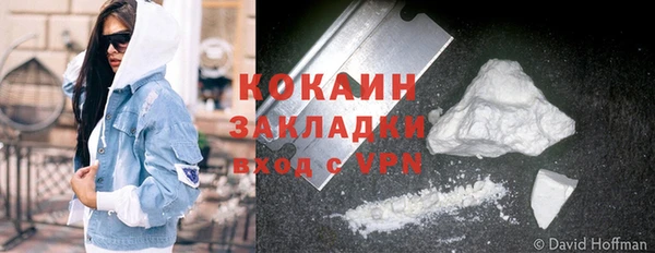 индика Мегион