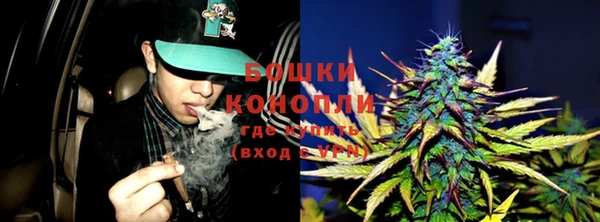 мдпв Кукмор